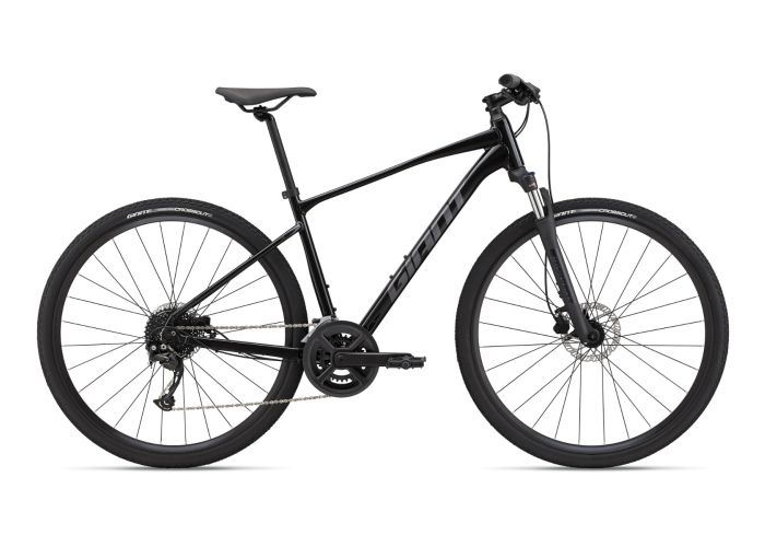 Roam Disc 2 (2023)