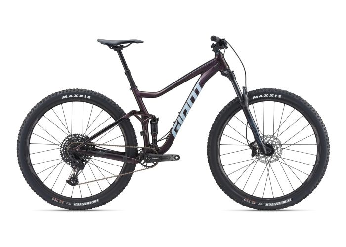 Stance 29 1 (2021)
