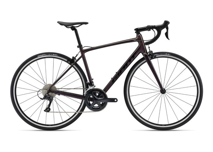 Contend 1 (2022)